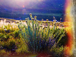 远在远方的风比远方更远