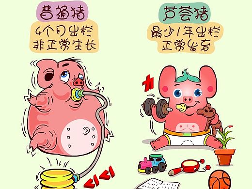 智滨牌芦荟猪肉《芦荟猪肉和普通猪肉得区别》