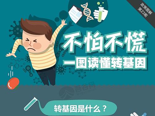图解/信息图