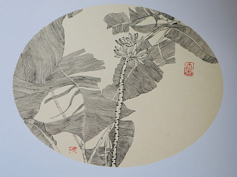 芭蕉戀（個人主頁-ZNDQyMDM1NjQ=） - 繪畫 - 站酷設(shè)計師小野魚原創(chuàng)素材 - 站酷ZCOOL