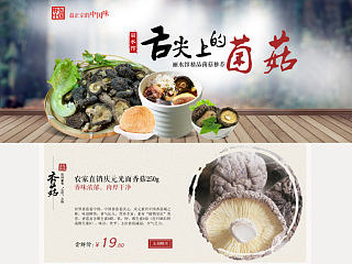 【专题页面】舌尖上的菌菇