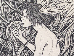 幻想症患者【2013年总结】