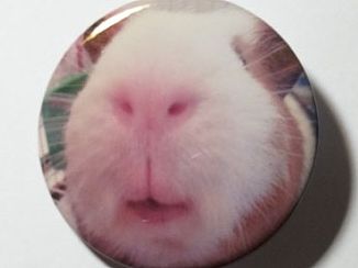 咖啡蛋蛋猪——摩卡原型小男神&周边（个人主页-ZMTI3NzM4ODQ=） - 产品摄影 - 站酷设计师柠檬人生原创素材 - 站酷ZCOOL