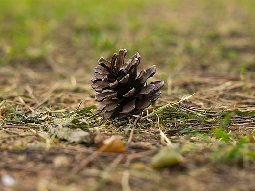 八大關(guān)一組（個人主頁-ZMTI1NzAxODA=） - 風光攝影 - 站酷設(shè)計師snow320原創(chuàng)素材 - 站酷ZCOOL