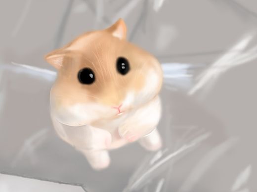 手绘习作