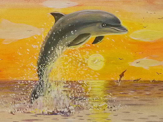 海洋绘本 小海豚喜欢云