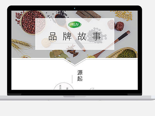 品牌介绍