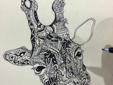 我是爱美的长颈鹿（个人主页-ZMTYzNDEyMzI=） - 新锐潮流插画 - 站酷设计师lonly1原创素材 - 站酷ZCOOL