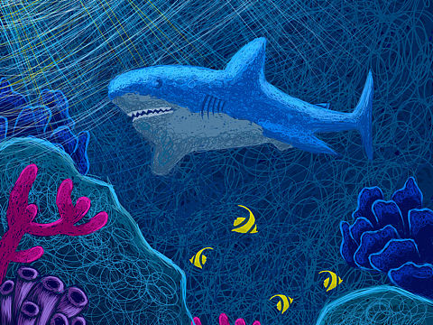 线圈插画-海底世界（个人主页-ZNDUzMjA5Njg=） - 创作习作 - 站酷设计师Lyncu原创素材 - 站酷ZCOOL