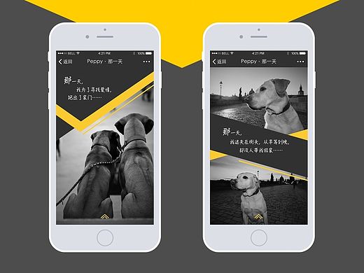 Peppy宠物社区 H5推广页面设计