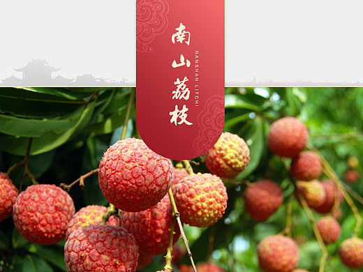 荔枝详情/水果详情/荔枝/水果/食品详情