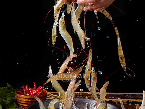 儒林虾说XFOODOGRAPHY