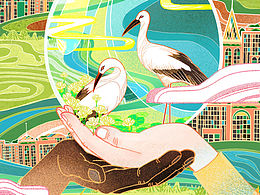 原創(chuàng)設(shè)計(jì)｜生物多樣性插畫(huà)海報(bào)