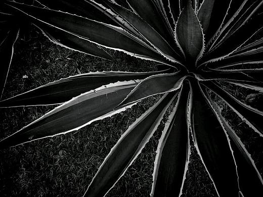 每一次的路边相遇你都不会让我失望。