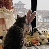 是爱设计的糖糖的头像