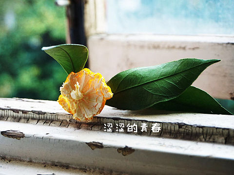 随拍