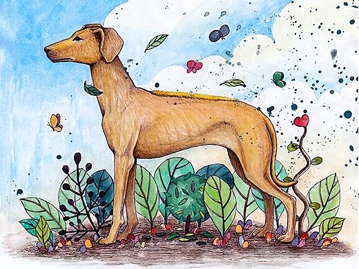 OY手绘：背脊犬