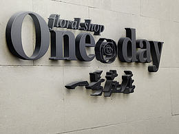 LOGO設(shè)計(jì)展示