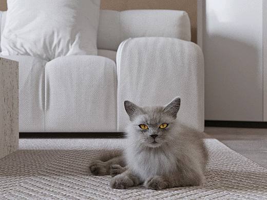 现代简约风格表现