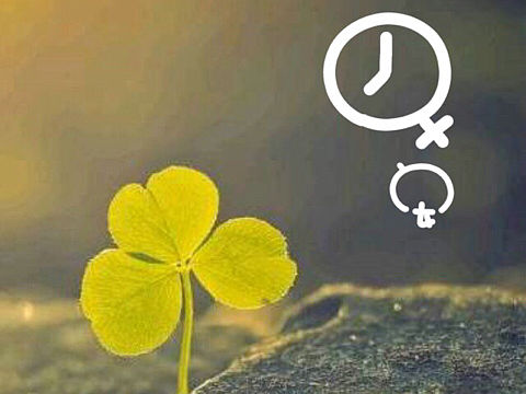 早期原创，阿明可爱字体合集八