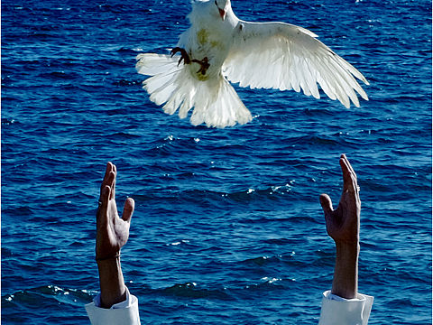 把美好留给蓝天,把悲伤留给自己