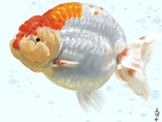 板绘兰寿（个人主页-ZNTkyMzY3MTY=） - 创作习作 - 站酷设计师车哩子原创素材 - 站酷ZCOOL