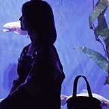 穷奇的头像