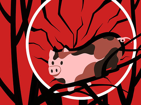 一只会上树的猪