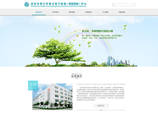 武汉视防首页-2