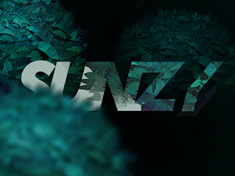 品牌形象海報 雜七雜八（個人主頁-ZMTY0MzQzODA=） - 海報 - 站酷設(shè)計師SFRG原創(chuàng)素材 - 站酷ZCOOL