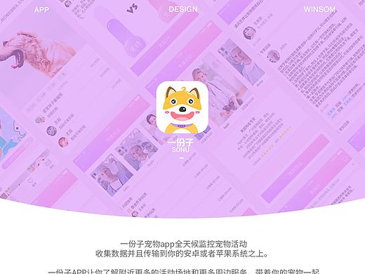 一份子宠物APP&项目总结