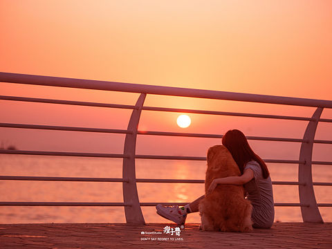 两人两狗三餐四季❤️