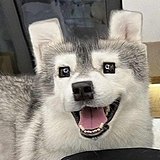 Swei_的头像