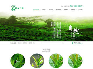 一个茶叶网站