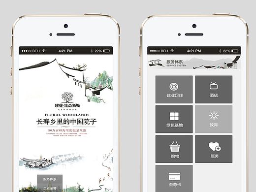 两枚手机项目站