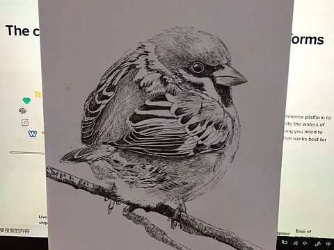 麻雀（个人主页-ZMzUzODMwMzY=） - 创作习作 - 站酷设计师漫远兮原创素材 - 站酷ZCOOL