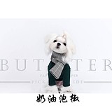58度灰的头像