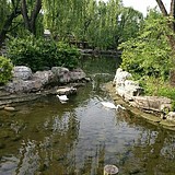 水绿冰蓝的头像