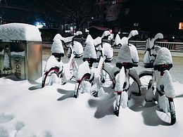 当共享单车遇到漫天飞雪。