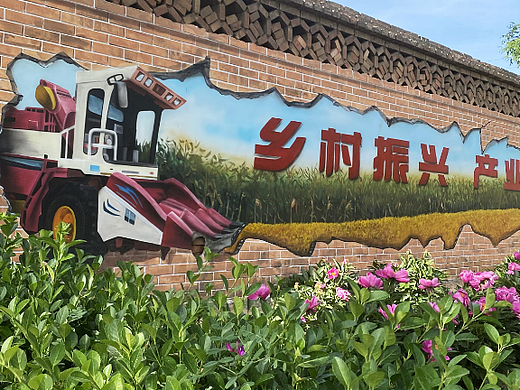 太原墙绘乡村振兴文化墙新农业墙绘彩绘壁画涂鸦新农村