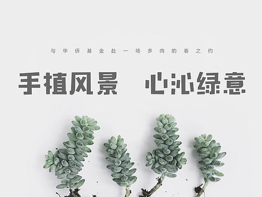 多肉DIY活动海报