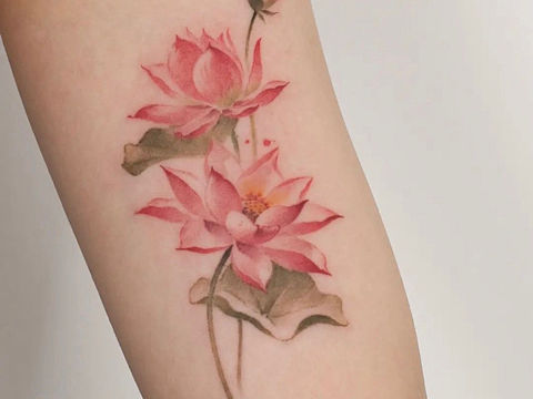 不同種類的花朵.鎖骨梅花.大臂內(nèi)側(cè)的荷花肩頭花朵與（個人主頁-ZNjAyMjM1MjA=） - 其他攝影 - 站酷設(shè)計師西安紋身佳佳刺青原創(chuàng)素材 - 站酷ZCOOL