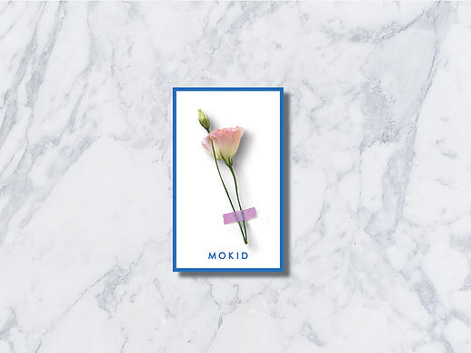 MOKID品牌VI设计