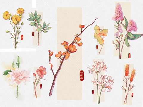 水彩花卉