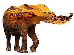 創(chuàng)意練習(xí)