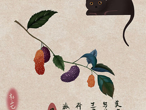 一喵一物，本草物语，桑葚。