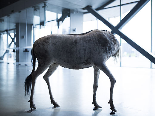 《头》等作品  ---策展人：侯瀚如 