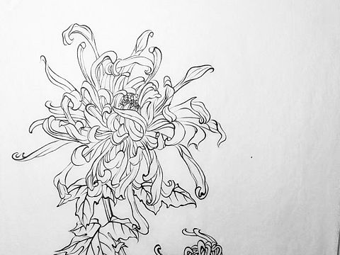 中国画工笔白描作品