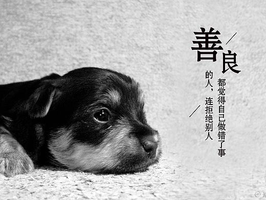 banner文字排版第四十一期