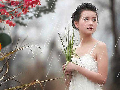 亲爱的你在哪里